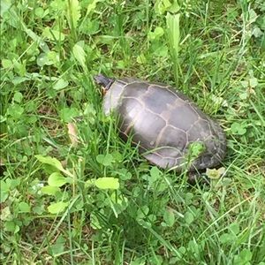 Meet your Posher, Kirsten